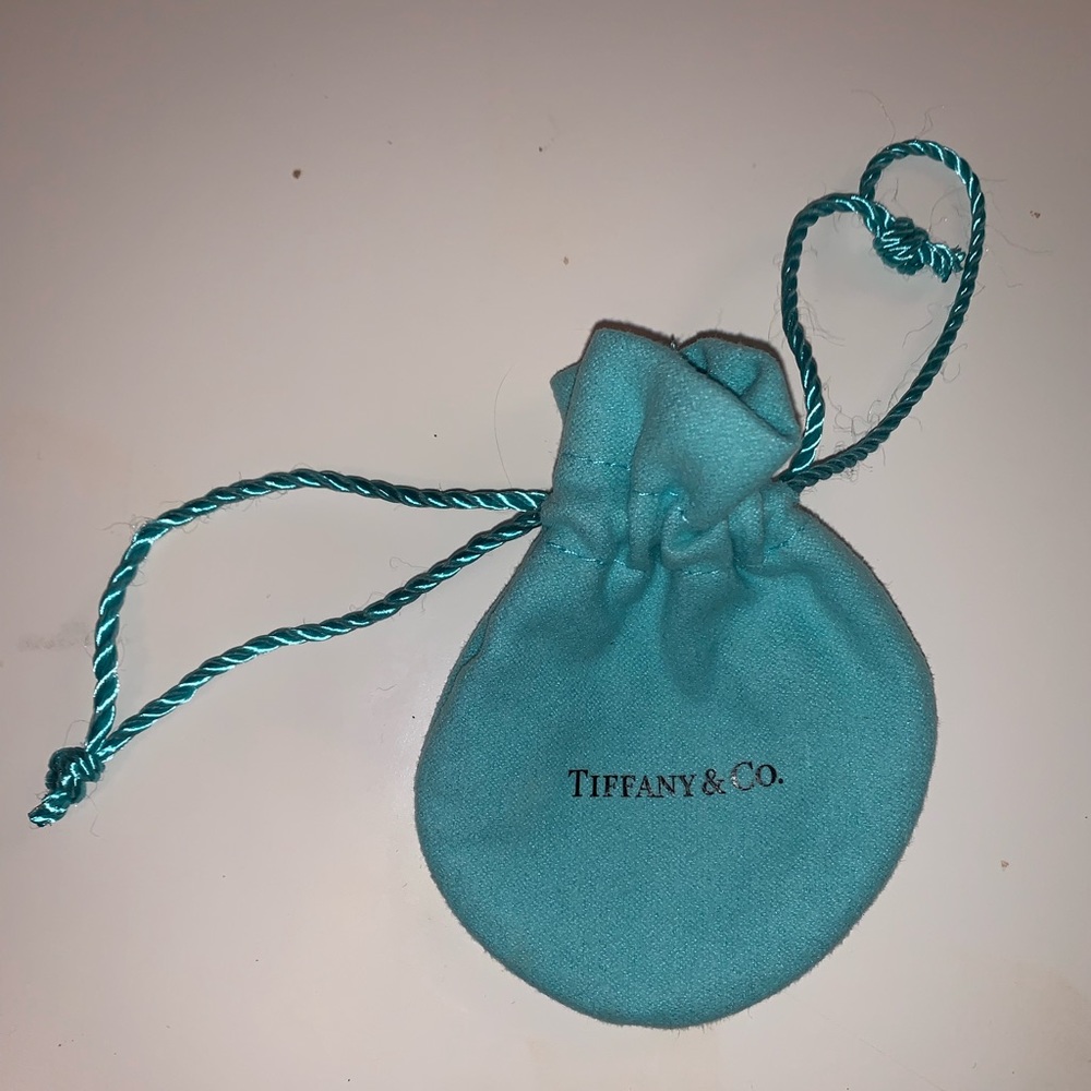 Tiffany and Co Jewelry Bag
